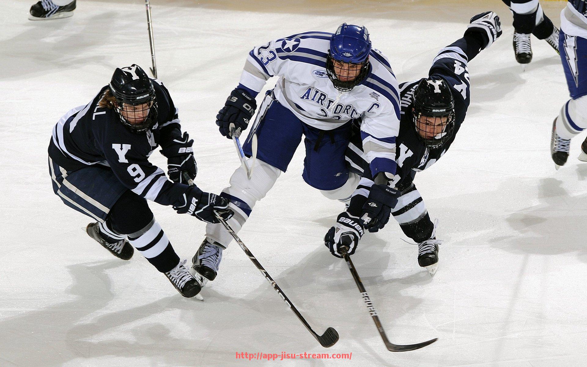 极速直播-健房健身器材：家庭健身房设备选购指南