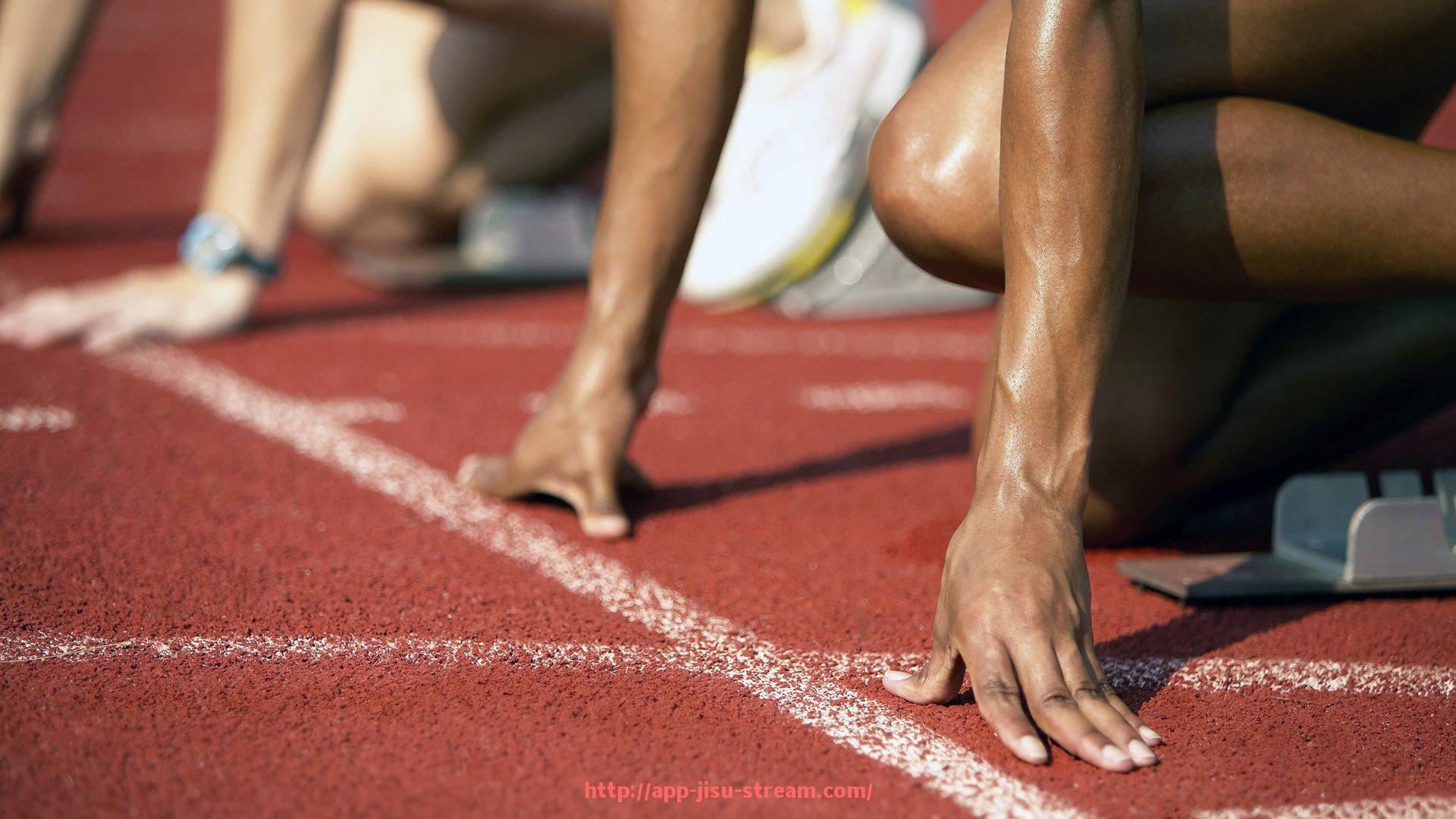 极速直播-商用健身器材保养建议与使用寿命延长指南